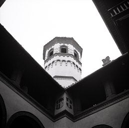 Ilford Delta - iso 100 (35mm film ingust)