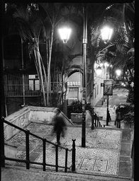 Fomapan - iso 200 (35mm film ingust)