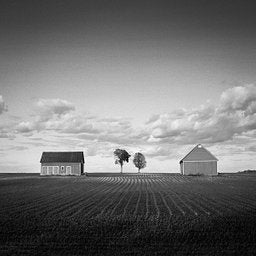 Ilford Fp4 Plus - iso 125 (120 film lat)