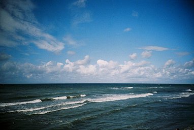 FujiFilm - iso 400 (35mm film ingust)