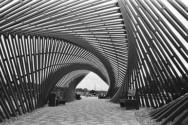 Ilford Ortho Plus - iso 80 (35mm film ingust)