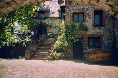 KODACOLOR - iso 100 (35mm film ingust)