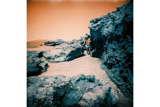 LomoChrome Turquoise - iso 100-400 (120 film lat)