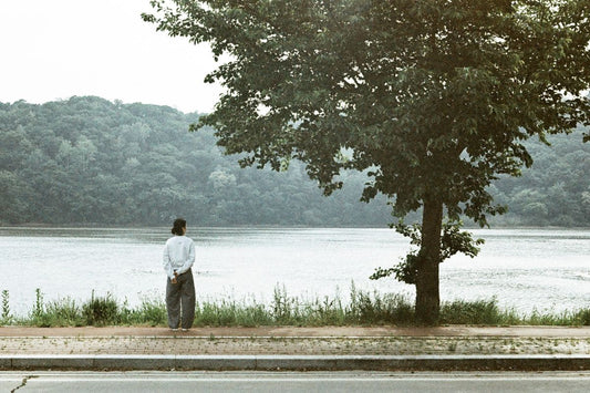 LomoChrome Metropolis - iso 100-400 (110 film super ingust)