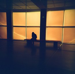 Harman Pheonix - iso 200 (120 film lat)