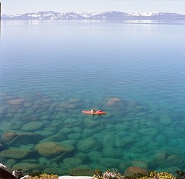 Kodak Portra - iso 160 (120 film ingust)