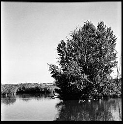 Ilford XP2 - iso 400 (120 film lat)