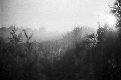 Ilford XP2 - iso 400 (35mm film ingust)