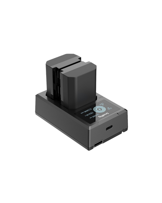 3824 NP-FZ100 Battery & Charger Kit