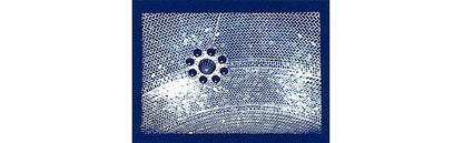 Kit Cyanotype 20x25 Notecard Print - 12 foi