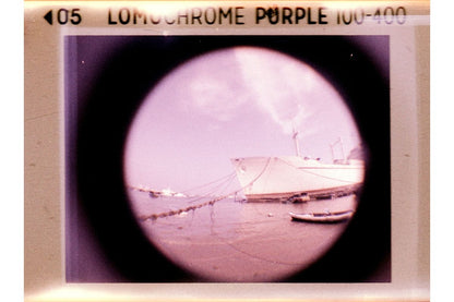 Lomography  Purple LomoChrome 2021  110Film