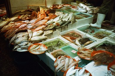 AgfaPhoto Color iso 400 (35mm film ingust, 24 cadre)