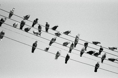 Agfa APX - iso 100 (35mm film ingust)