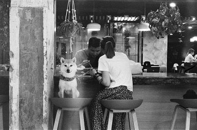 Agfa APX - iso 400 (35mm film ingust)