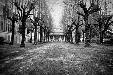 Ilford Delta - iso 100 (35mm film ingust)