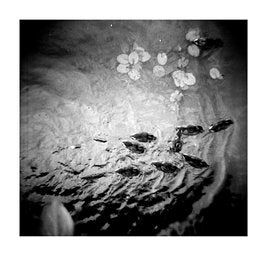 Ilford Delta - iso 3200 (120 film lat)