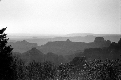 Ilford Delta - iso 400 (35mm film ingust)