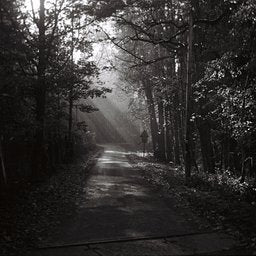 Fomapan - iso 200 (120 film lat)