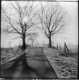 Fomapan Ortho - iso 400 (120 film lat)