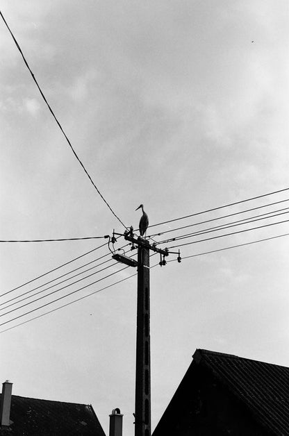 Fomapan Set - 6 filme iso 100 (35mm film ingust)