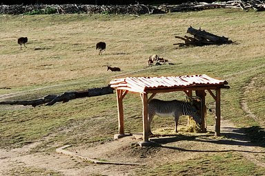 Hundred Color Film - iso 400 (35mm film ingust)