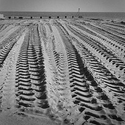 Ilford Fp4 Plus - iso 125 (120 film lat)