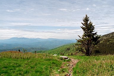 FujiFilm - iso 200 (35mm film ingust)