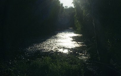 FujiFilm - iso 200 (35mm film ingust)