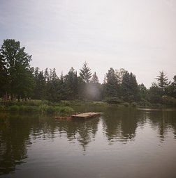 Kodak Gold - iso 200 (120 film lat)