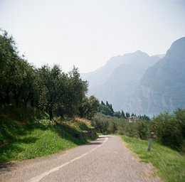 Kodak Gold - iso 200 (120 film lat)