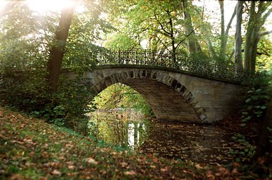 Kodak Gold - iso 200 (35mm film ingust- 24 CADRE)