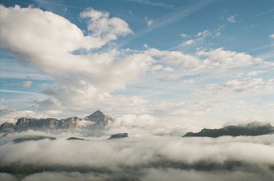 Kodak Gold - iso 200 (35mm film ingust- 24 CADRE)