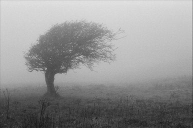 Ilford HP5 Plus - iso 400 (35mm film ingust)