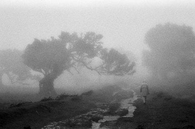 Ilford PAN - iso 400 (35mm film ingust)