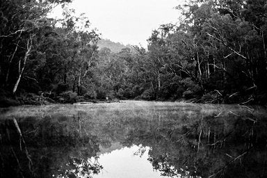 Ilford PAN - iso 50 (35mm film ingust)