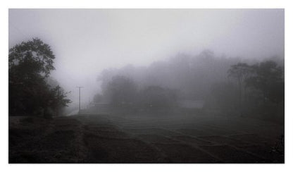 Kentmere - iso 200 (35mm film ingust)