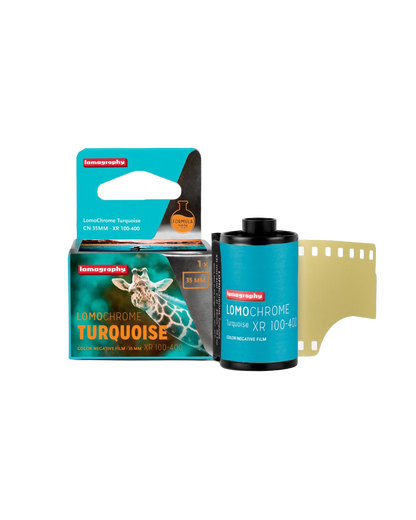 LomoChrome Turquoise - iso 100-400 (35mm film ingust)