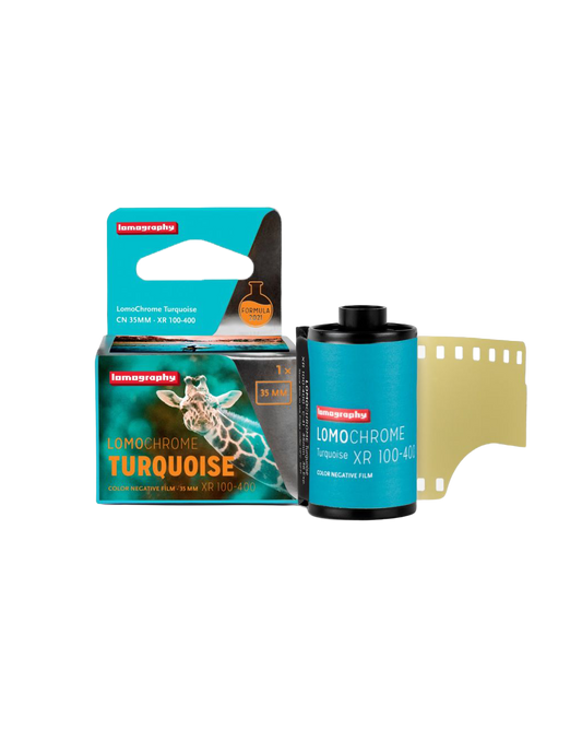 LomoChrome Turquoise - iso 100-400 (35mm film ingust)