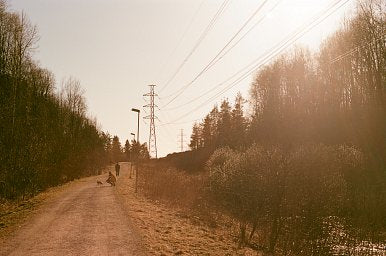 Hundred Color Film - iso 100 (35mm film ingust)