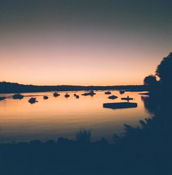 Harman Pheonix II - iso 200 (120 film lat)