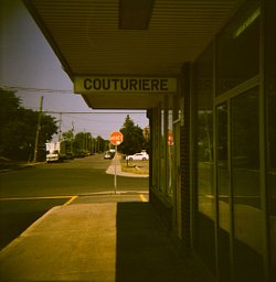 Harman Pheonix II - iso 200 (120 film lat)