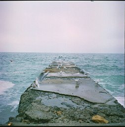 Harman Pheonix II - iso 200 (120 film lat)