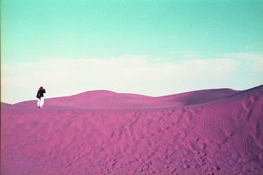 LomoChrome Purple - iso 100-400 (35mm film ingust)