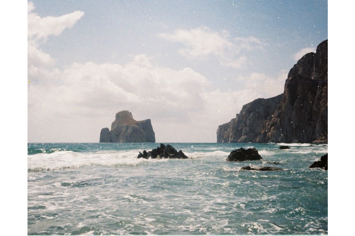 LomoColor Tiger - iso 200 (110 film super ingust)
