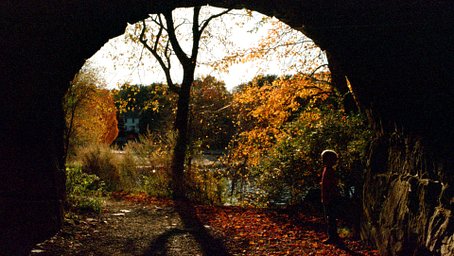 Kodak Ultramax - iso 400 (35mm film ingust)