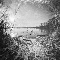 Ilford XP2 - iso 400 (120 film lat)